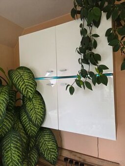 Nábytek do obývacího pokoje, tv stolek, komoda, regál