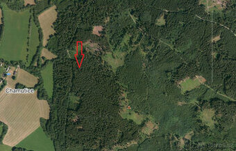 Prodej lesního pozemku 18 883 m² – Trsice,Petrovice u Sušice