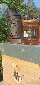 Kvalitní český med