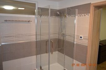 Pronájem bytu 1kk (60m2)