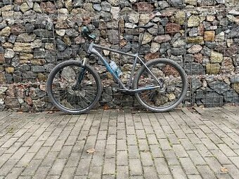 Radon ZR Team 8.0