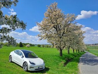 Tesla model 3 SR r.v. 2019