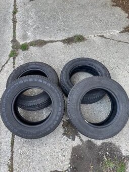 Michelin agilis - 1