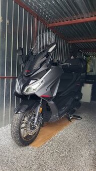 Honda Forza 125 / 2025 Limited edition