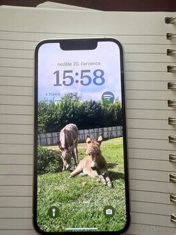 iPhone 13 mini