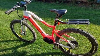 CRUSSIS e-Guera 7.8 S ram 17"