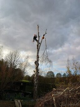 Kácení , rizikové kácení a ořez větvi.
