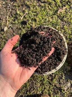 Vermikompost - 5L - 1