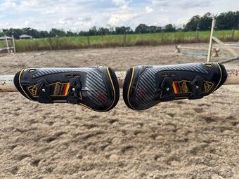 Veredus slachovky aachen edition