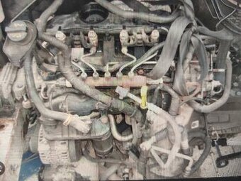 Prodám motor 2.2 TDCi Ford transit 81kw puma QVFA