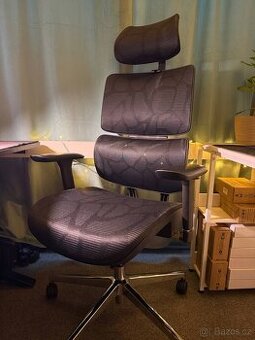 Ergonomická kancelářská židle Tonfary