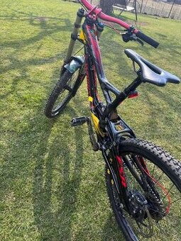 SW DEMO 8 FSR CARBON