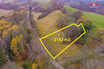 Prodej pastviny, 2183 m², Hajnice - 1