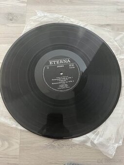 Ludwig van Beethoven, 8 25 926 vinyl - jen disk
