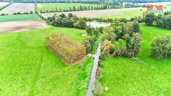 Prodej lesa, 1461 m², Skřivany - 1