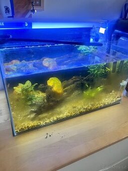 Aquarium REZERVOVÁNO DO CTVRTKU - 1