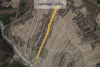 Prodej louky v k.ú. Jankovice u Uherského Hradiště
