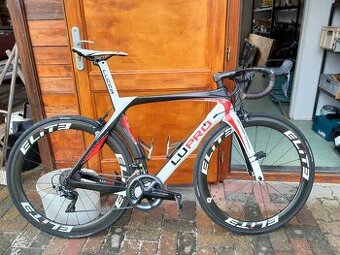 Cipollini