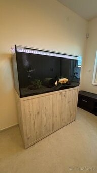 Kompletní akvárium 121×51×60 cm, 370 l (Optiwhite)+vybavení