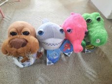 Mrož, krokodýl a mořský koník