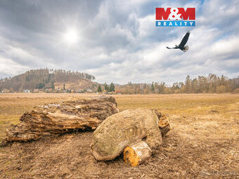 Prodej louky, 14575 m², Poříčí nad Sázavou