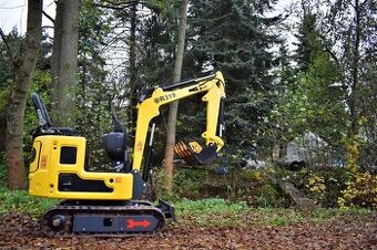 Pronájem minibagru 1T