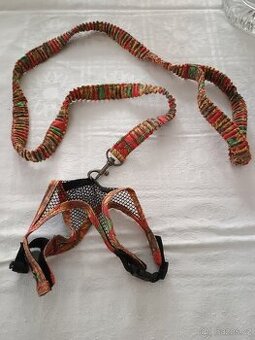 Vodítko pro morčata