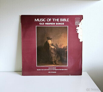 LP gramofonové desky I