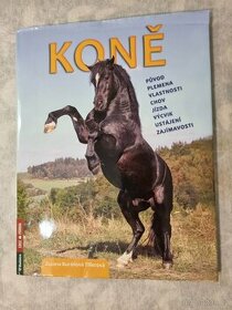 Úžasná kniha pro začátečníky u koní, hlavně pro děti