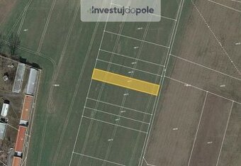 Prodej pole v k.ú. Hrdly - 1
