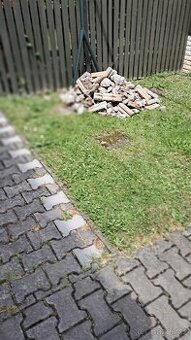 zdarma