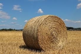 Koupím balíky sena