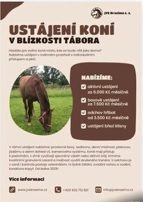 Ustájení koní - Aktivní ust., odchov hříbat, boxové ustájení - 1