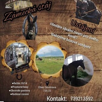 Boxové ustájení