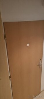 Panelákové dveře L90 protipožární