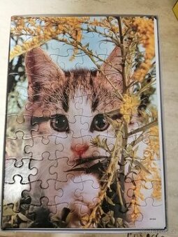Puzzle - 60 dílků