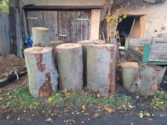 Špalek na štípáni dřeva - bukový