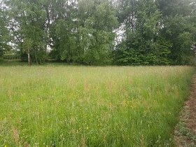 Prodej stavebního pozemku ŘEHOŘOV u Jihlavy - 1