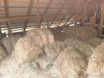 Malé balíky sena k prodeji