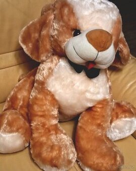 Pejsek. Plyšák. Jako dárek.