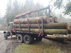 Těžba a přibližování dřeva rizikové kácení
