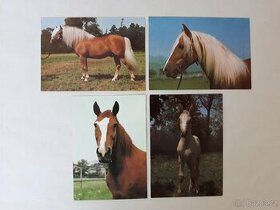 Nepoužité retro pohlednice koní