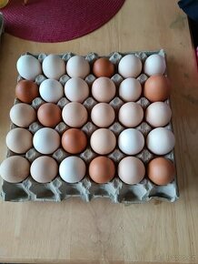 Vajíčka,vejce