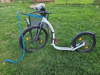 Koloběžka Kickbike na Canicross