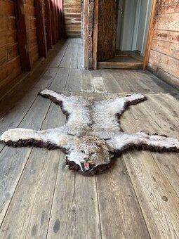 Pravá kůže z rysa