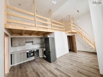 Pronájem bytu 2+kk 58 m2