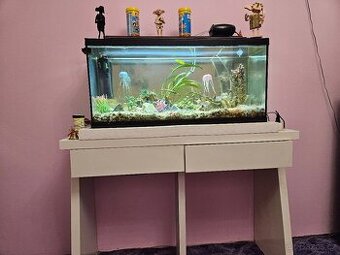 Prodám akvarium se stolkem a vybavením