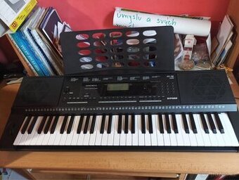 Kurzweil KP100