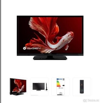 Televize GoGEN TVH24P452T