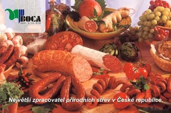 Hlavní účetní se znalostí mzdové agendy